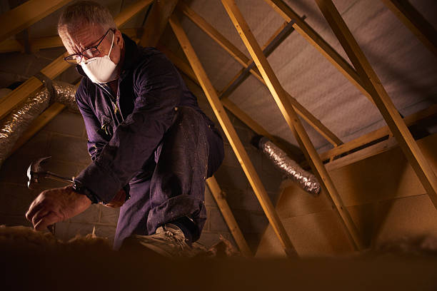 Best Specialty Insulation in Fredericksburg, IA